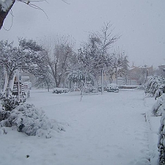 nieve 14 - 12 - 09 090